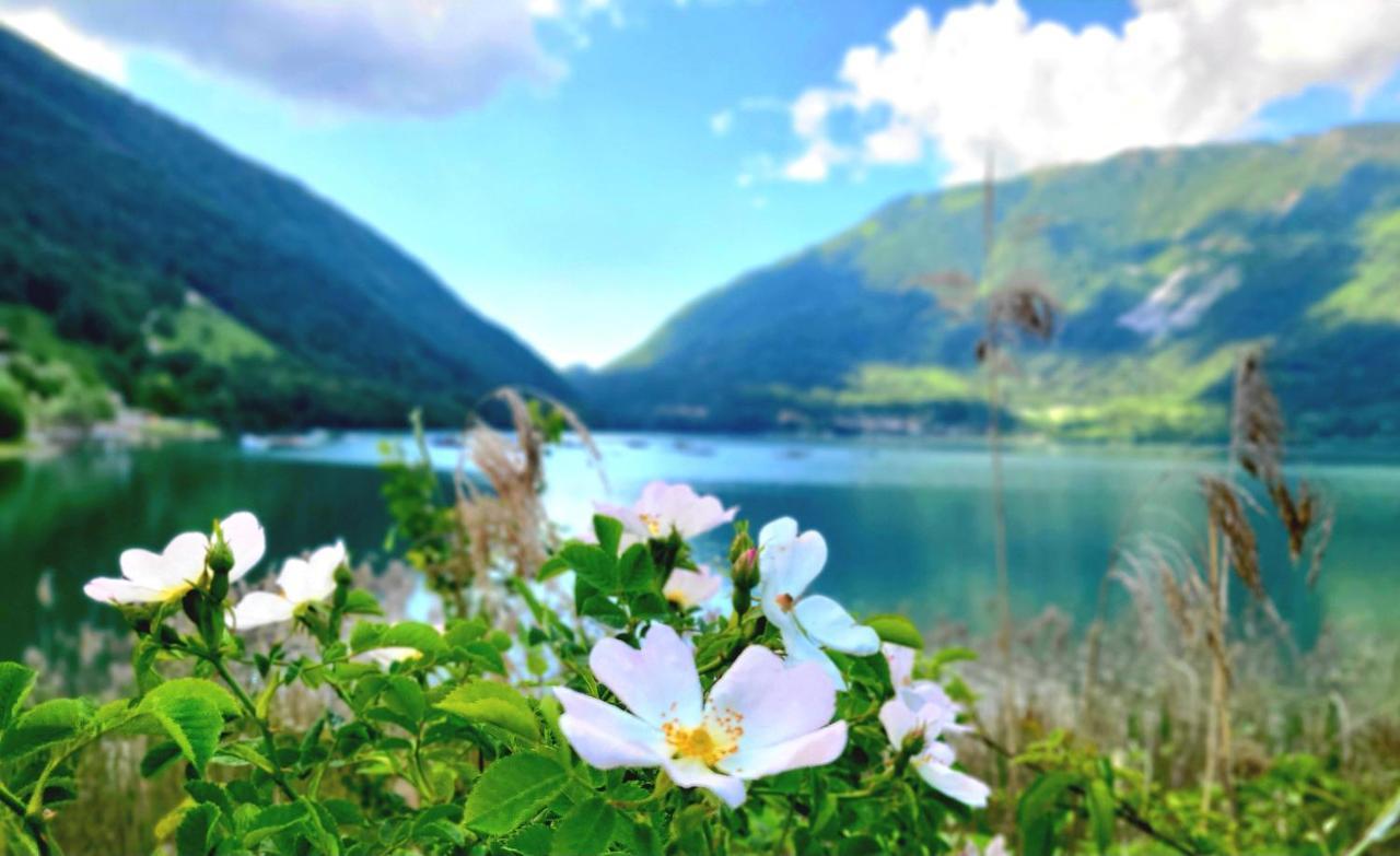 Emozioni Al Lago Farra d'Alpago Luaran gambar